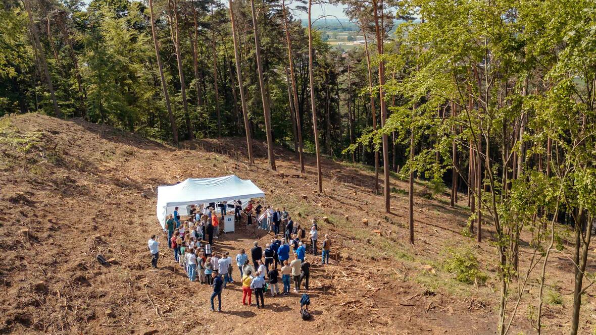 mehr-als-3-000-bildungsbaeume-gepflanzt4678861