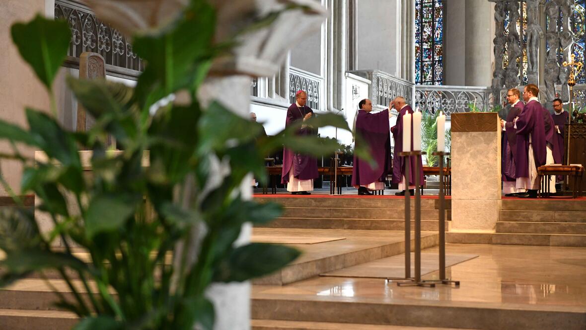 Foto: Maria Steber / pba.