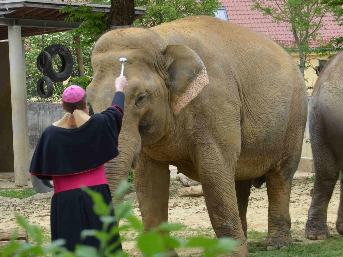 studientag_tierethik3639179