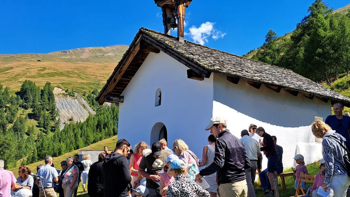In der Kathedrale der Schöpfung