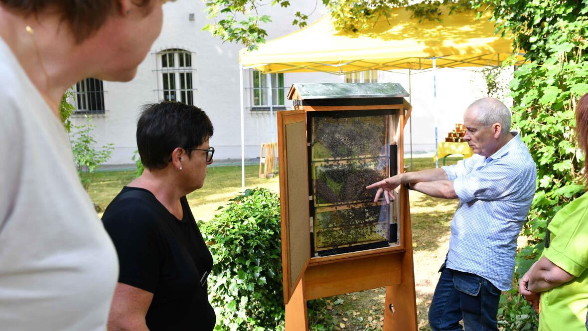 Direkt an einem Stock voller Bienen gab es zahlreiche Infos rund um das Thema Imkern. (Fotos: Maria Rösch/pba) 