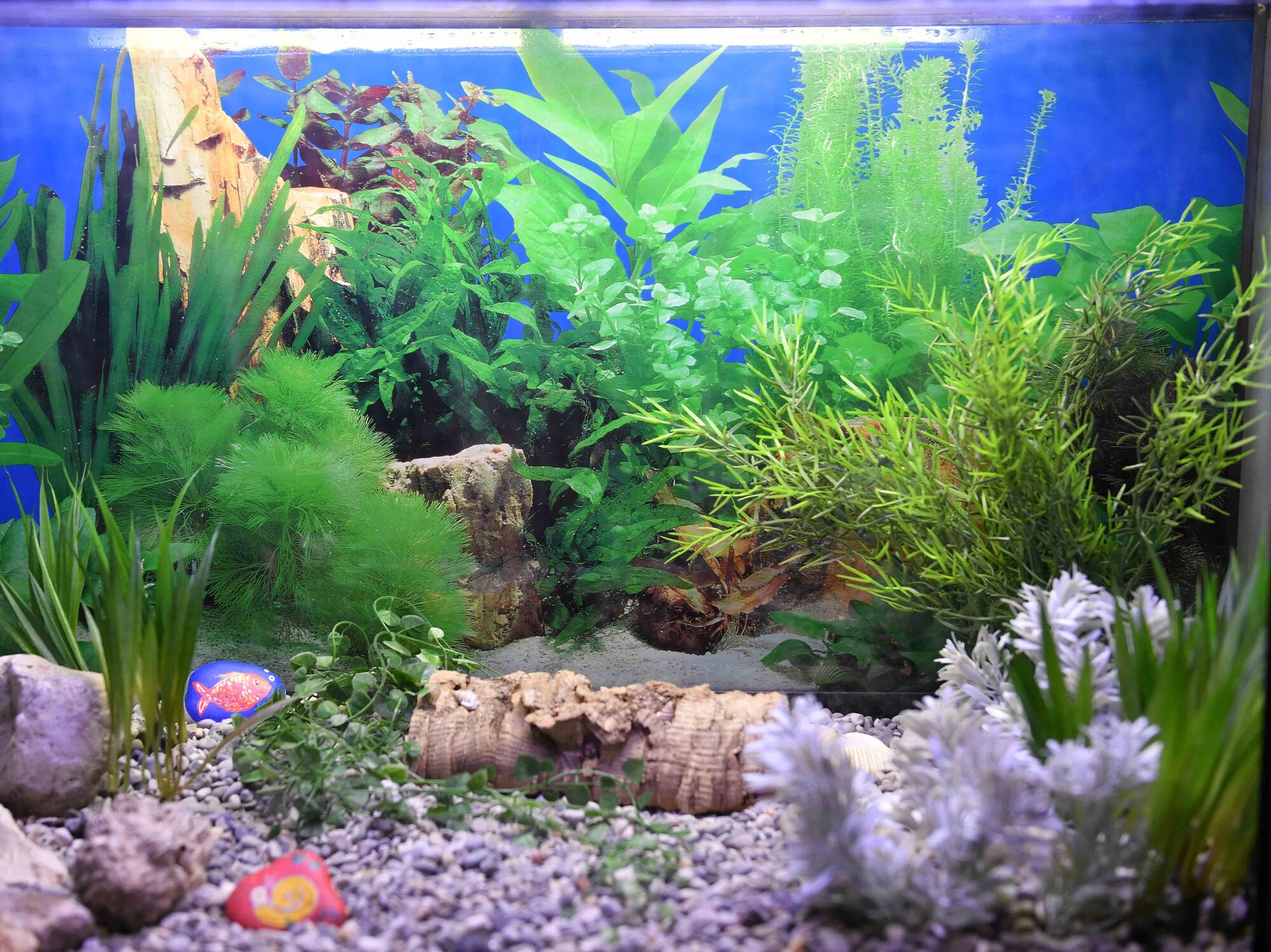 Atmosphärisch können die Kinder in eine Unterwasserwelt eintauchen (Foto: Maria Rösch / pba) 