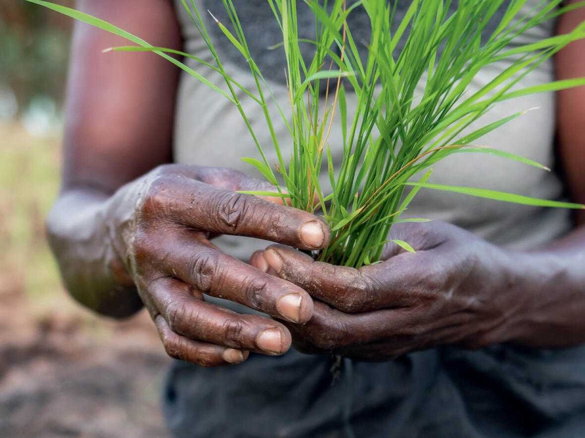Bei der Aktion Minibrot werden kleine Brote oder Semmeln gegen eine Spende abgegeben. Der Erlös kommt Menschen im Senegal und in Rumänien zugute.