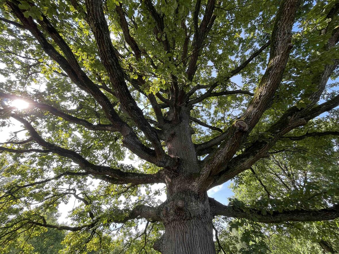 Foto: Michael Kießling