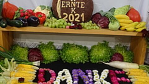 erntedank-21-2